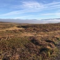 286319457_2931774290459663_8391142249085561653_n