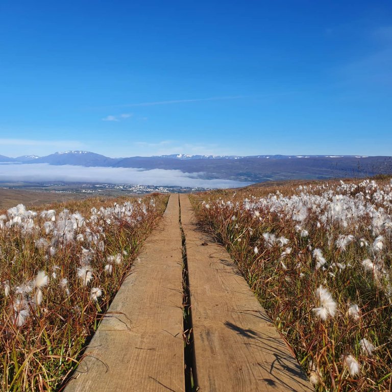 305190393_768943294180874_2744464559704143548_n