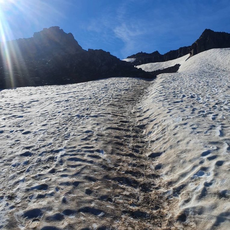 305253728_1947080012148471_1259052113298639887_n