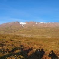 305770826_771927127378690_2381863532847096887_n