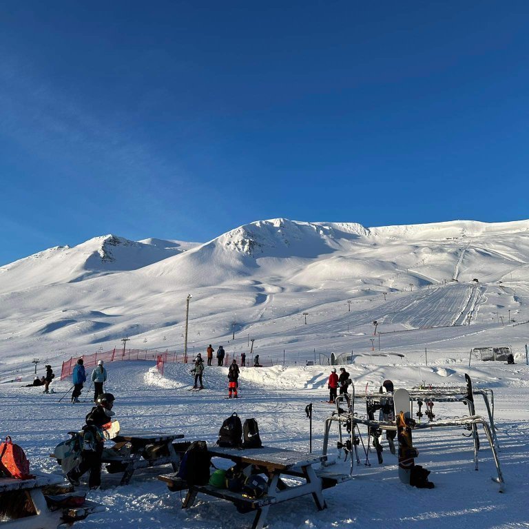 9185699d-a502-4c53-8cf7-b722c52bbcd6