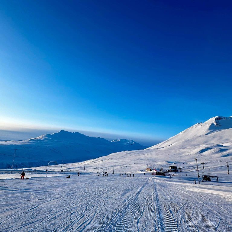 92bbbe1a-86a4-4d92-9896-c4f7f81d26fc