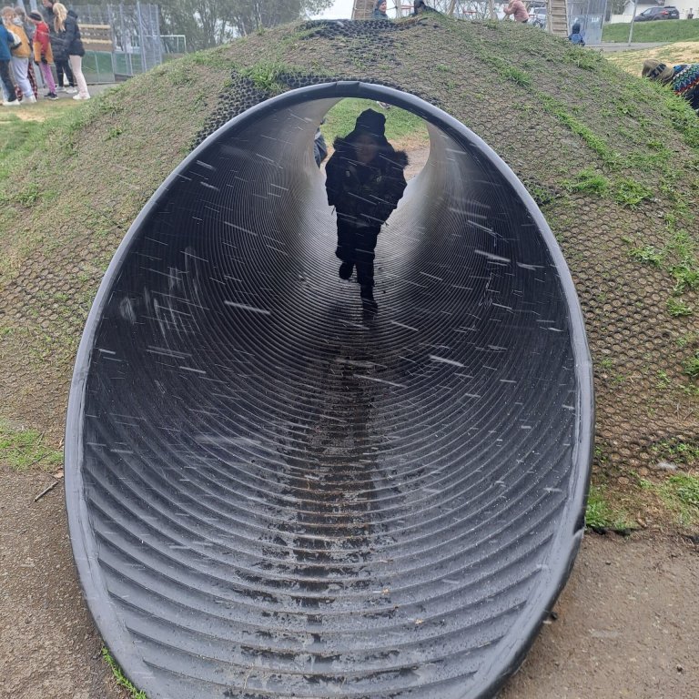 b13906d7-4bb6-43c7-83a5-39fb0395f312