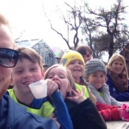 Staðfesting í Frístund