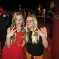 Fréttabréf janúar 2013