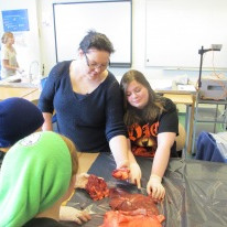 Hanna Dóra leiðbeinir nemendum