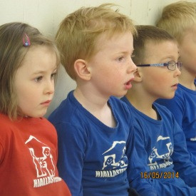 5 ára í íþróttatíma