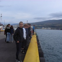 10 . HDM að veiða og kryfja!