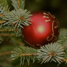 LITLU JÓLIN 20. desember 2010