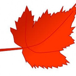 Starfsdagur - Frístund lokuð