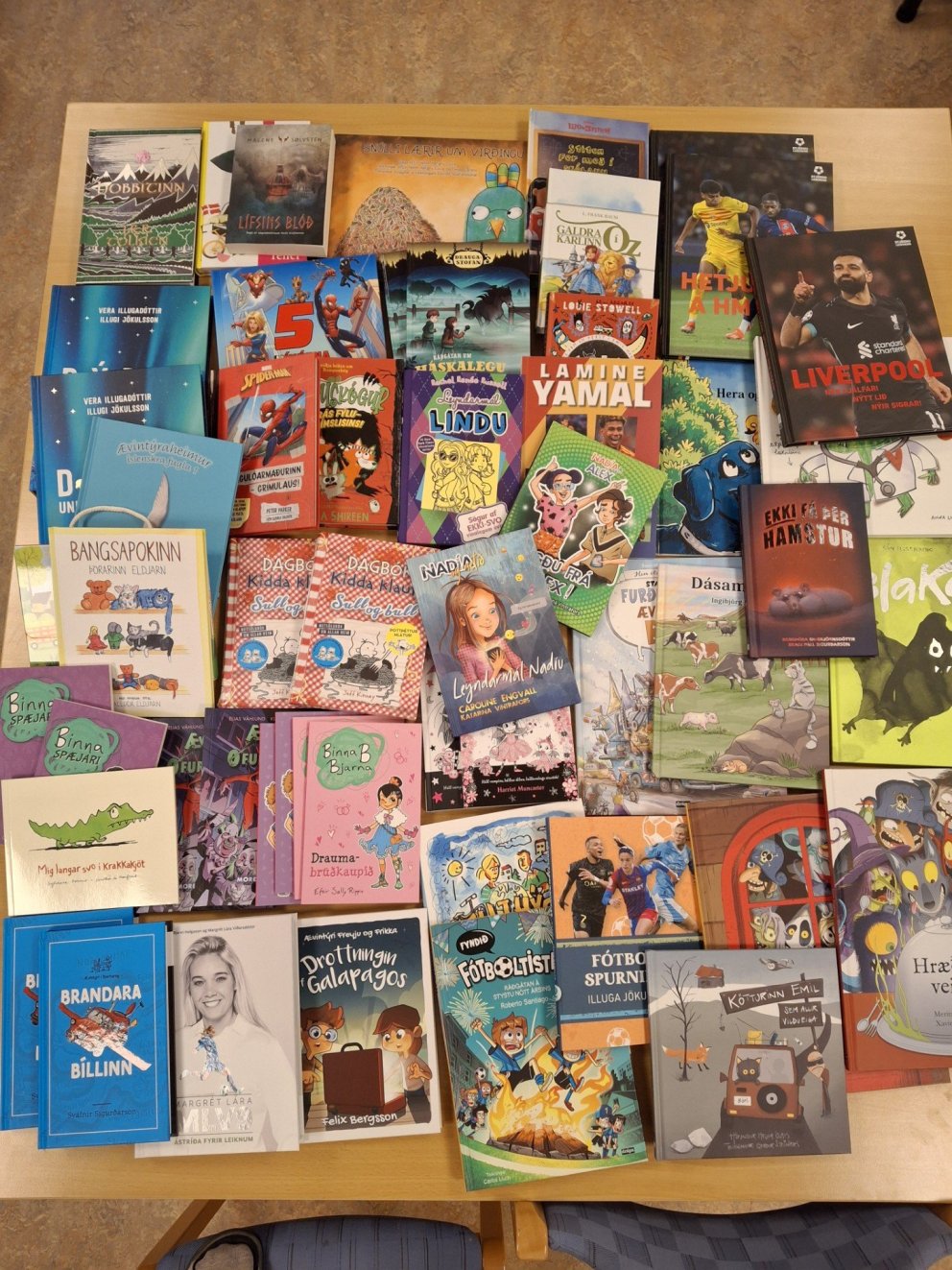Foreldrafélag Brekkuskóla styrkir bókasafn skólans