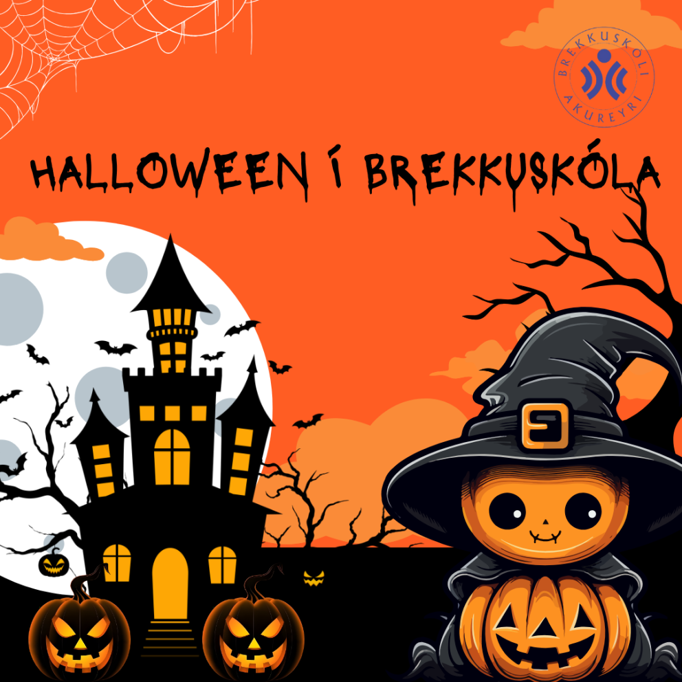 Ball fyrir yngsta- og miðstig