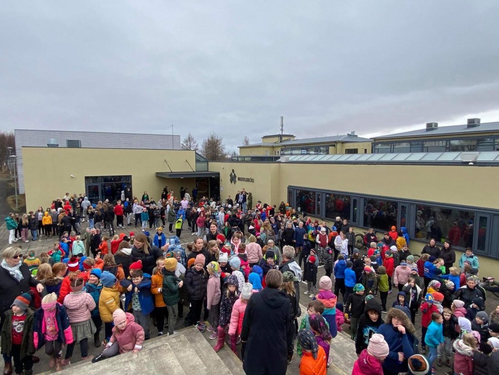 Brekkuskóli flaggar grænfána