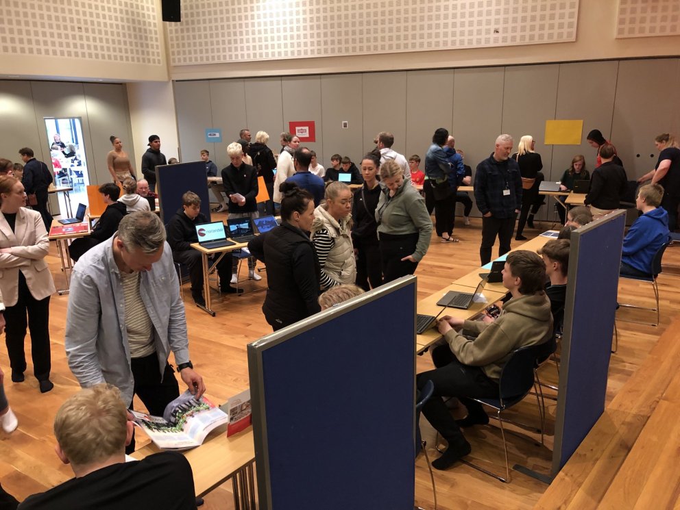 Starfskynningar 9. bekkjar