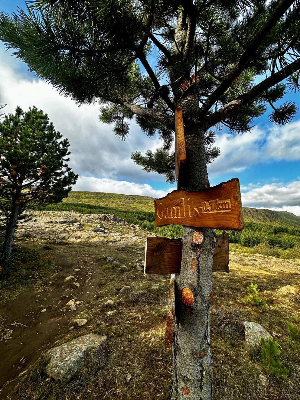 Útivistardagur haust 2024