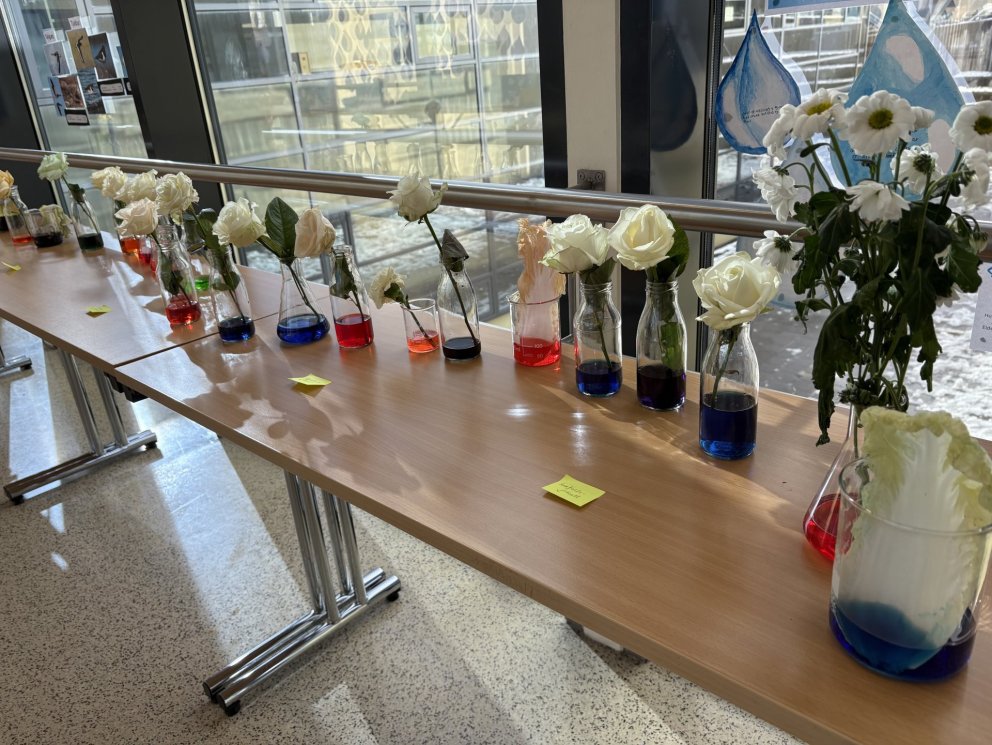 Fréttabréf maí - júní 2025