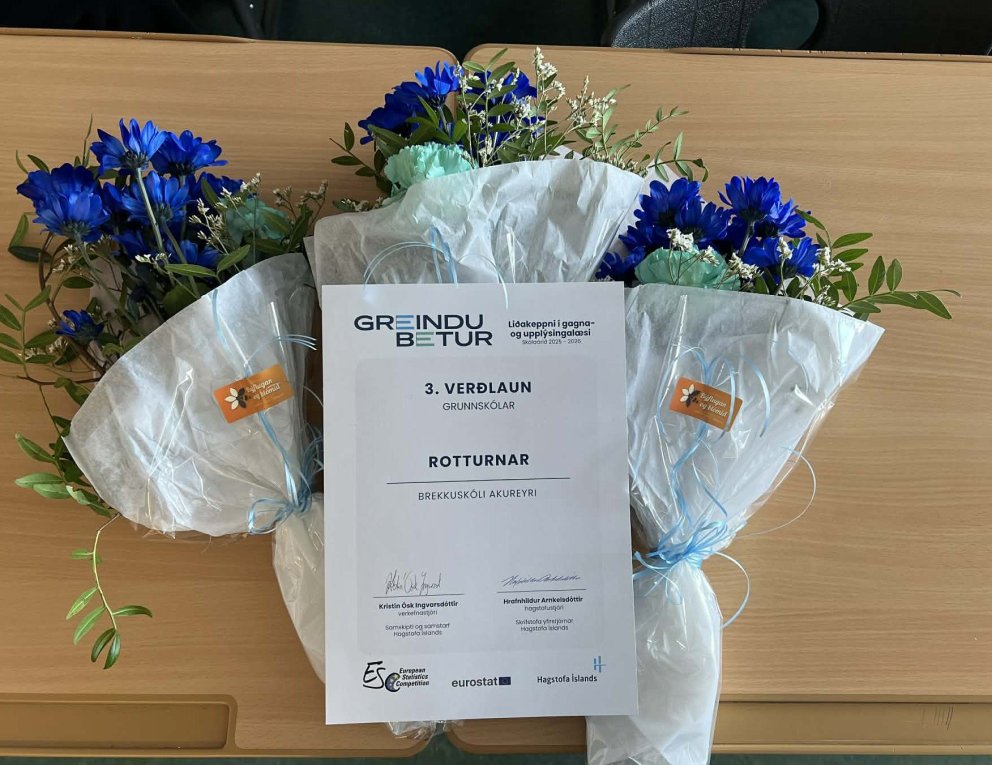 Nemendur Brekkuskóla skara fram úr í keppnum