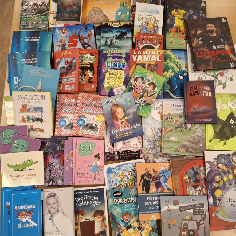 Foreldrafélag Brekkuskóla styrkir bókasafn skólans