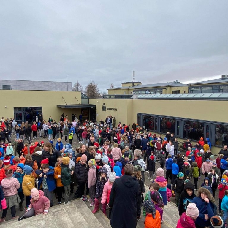 Brekkuskóli flaggar grænfána
