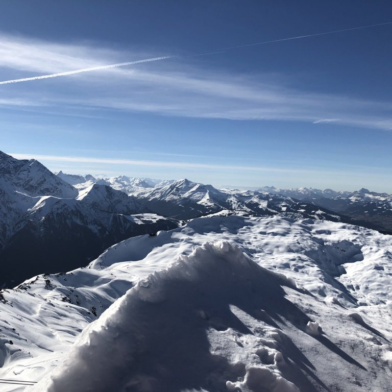 Fréttabréf febrúar 2024