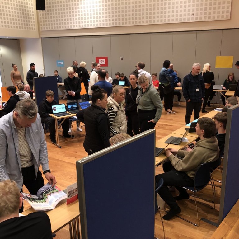 Starfskynningar 9. bekkjar