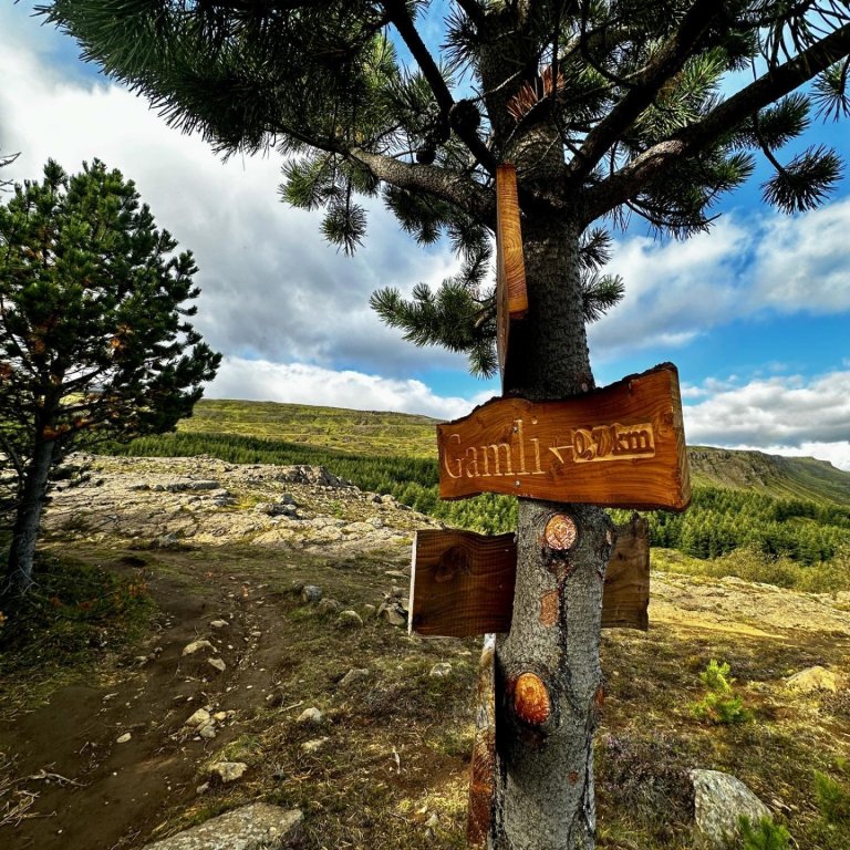 Útivistardagur haust 2024