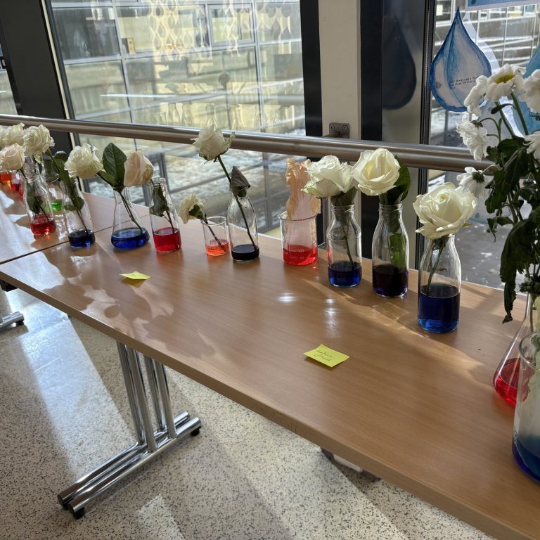 Fréttabréf maí - júní 2025