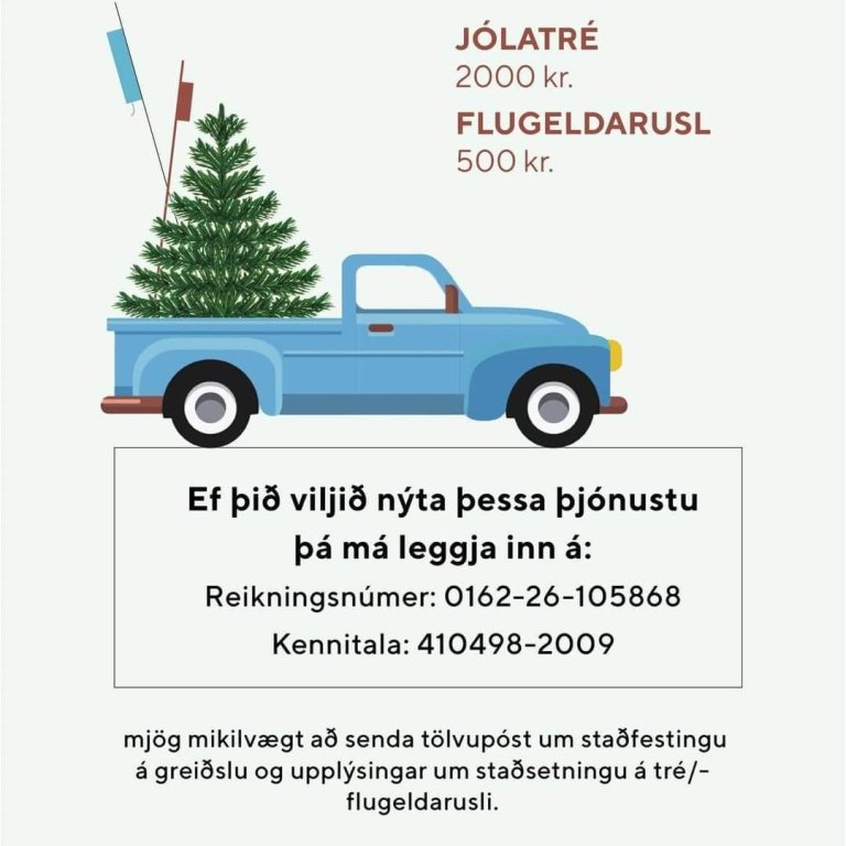 Þarftu að losna við jólatré og flugeldarusl?