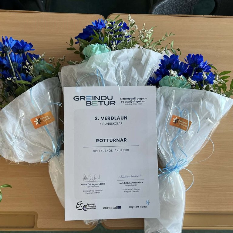 Nemendur Brekkuskóla skara fram úr í keppnum